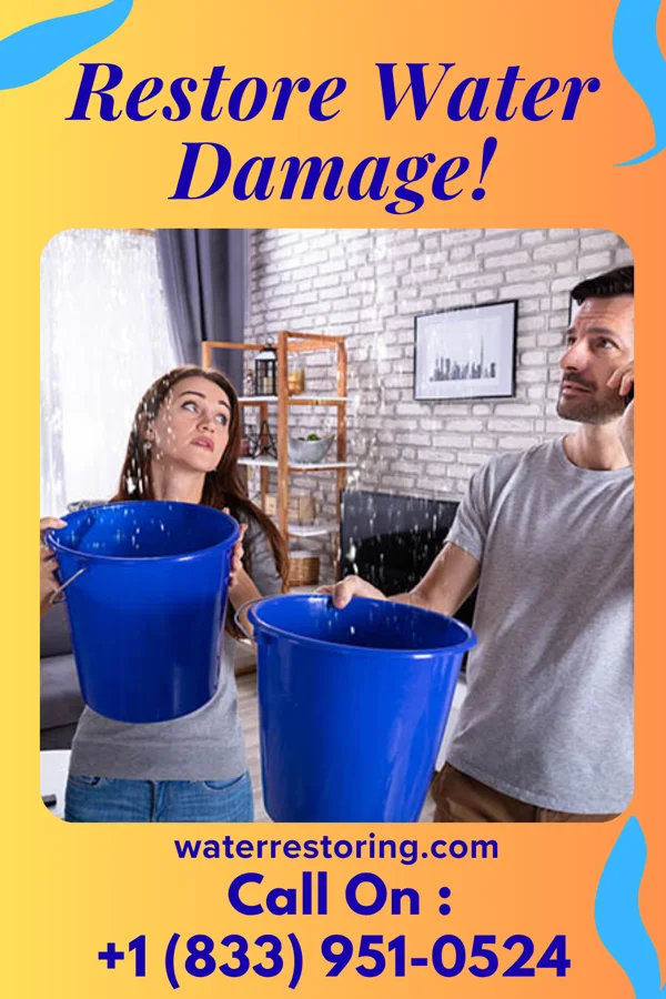water restoration Rapid Water Removal Team Fenwick Island