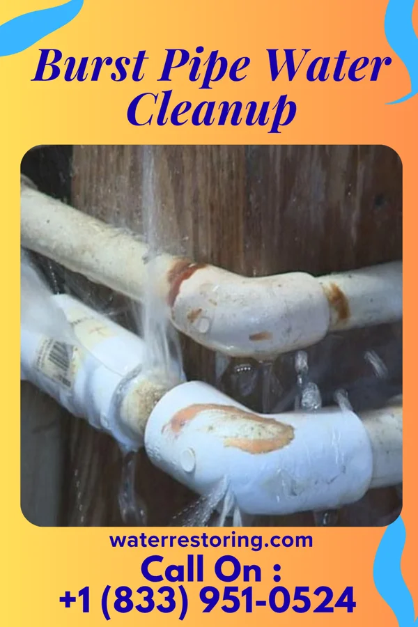 Burst Pipe Water Cleanup in Fenwick Island, DE