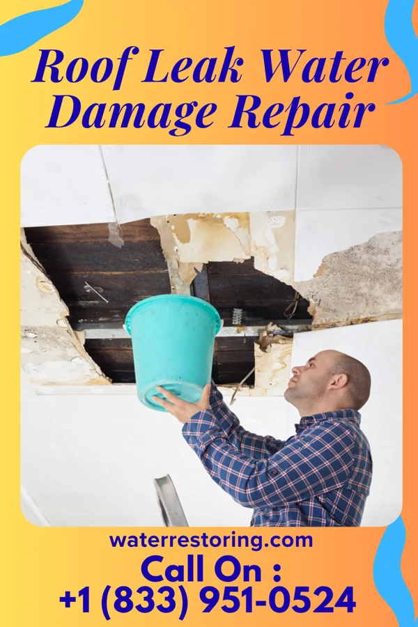 Roof Leak Water Damage Repair in Fenwick Island, DE